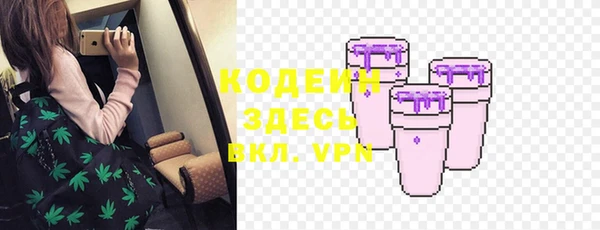 хмурый Алексин