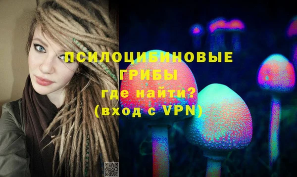 хмурый Алексин