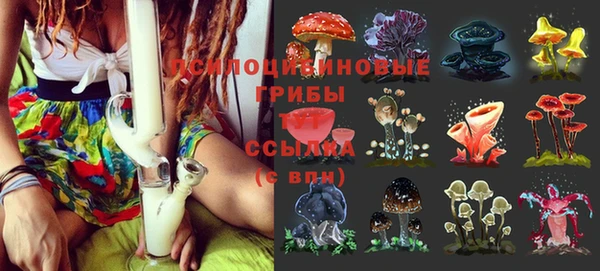 кокаин Алексеевка